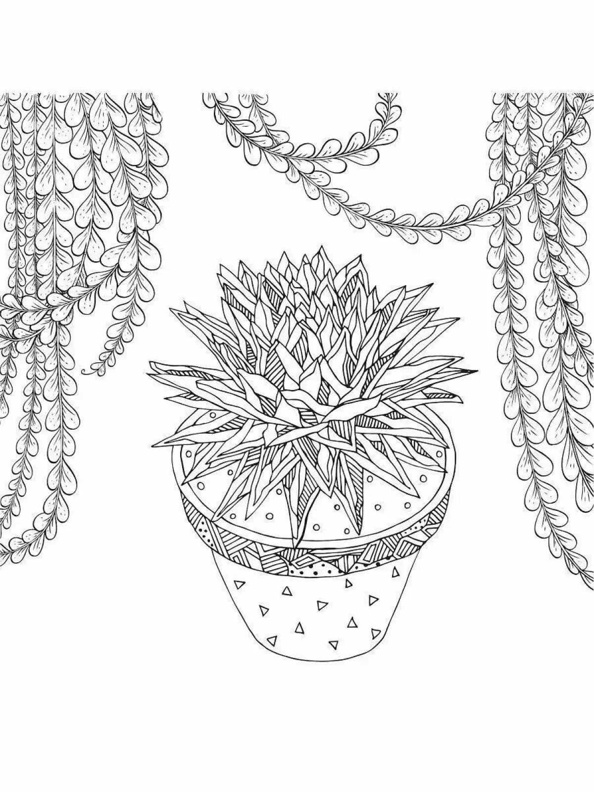 Cactus coloring page