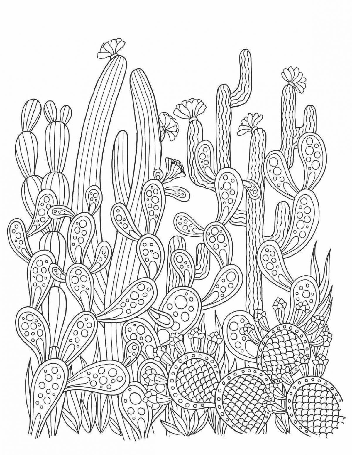 Coloring big cactus