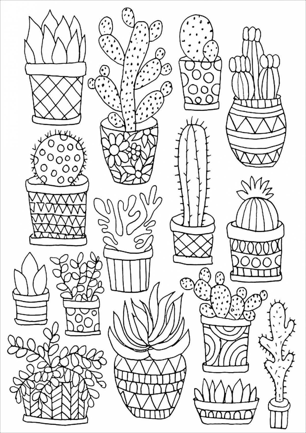 Gorgeous cactus coloring book