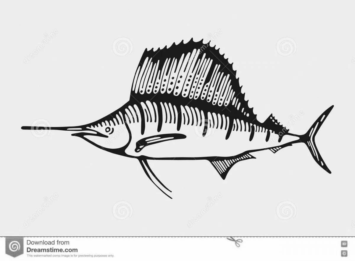 Раскраска радостная рыба парусник
