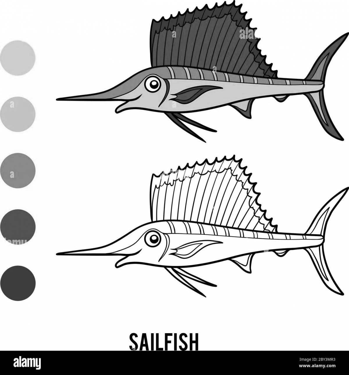 Coloring page nice sailfish