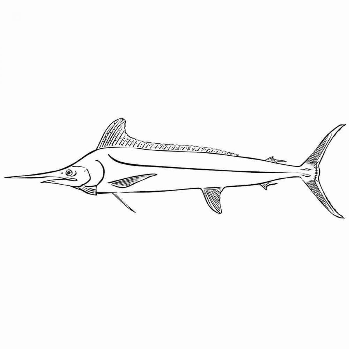 Coloring page magnificent sailfish