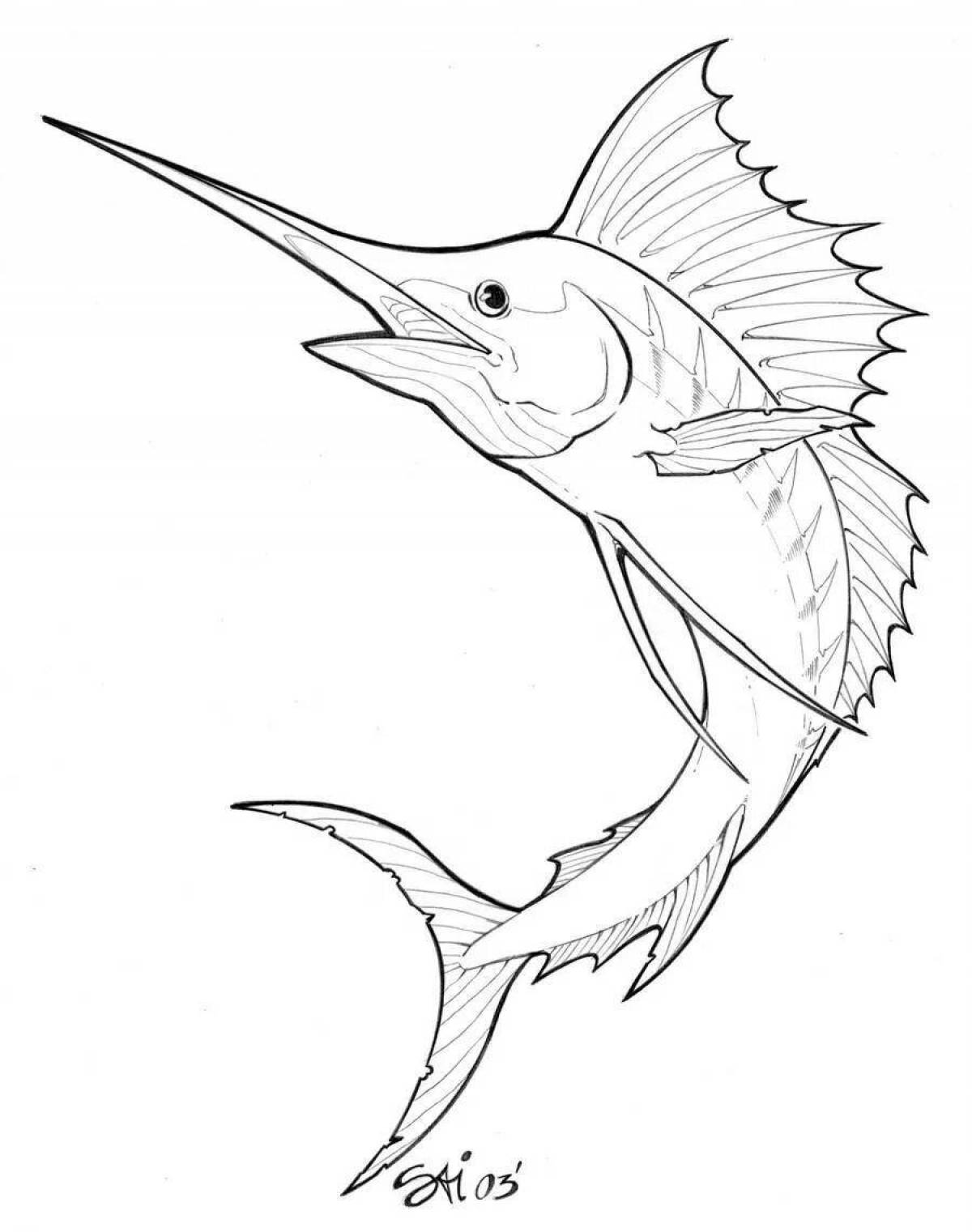 Exquisite sailfish coloring page