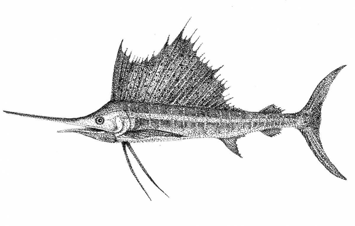 Fancy sailfish coloring page