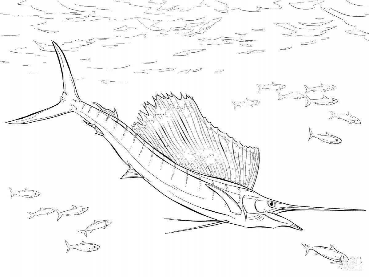 Photo Exciting fish sailboat coloring page