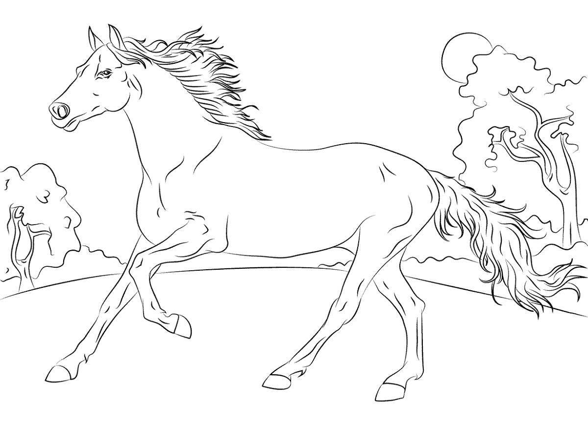 Shiny winter horses coloring page