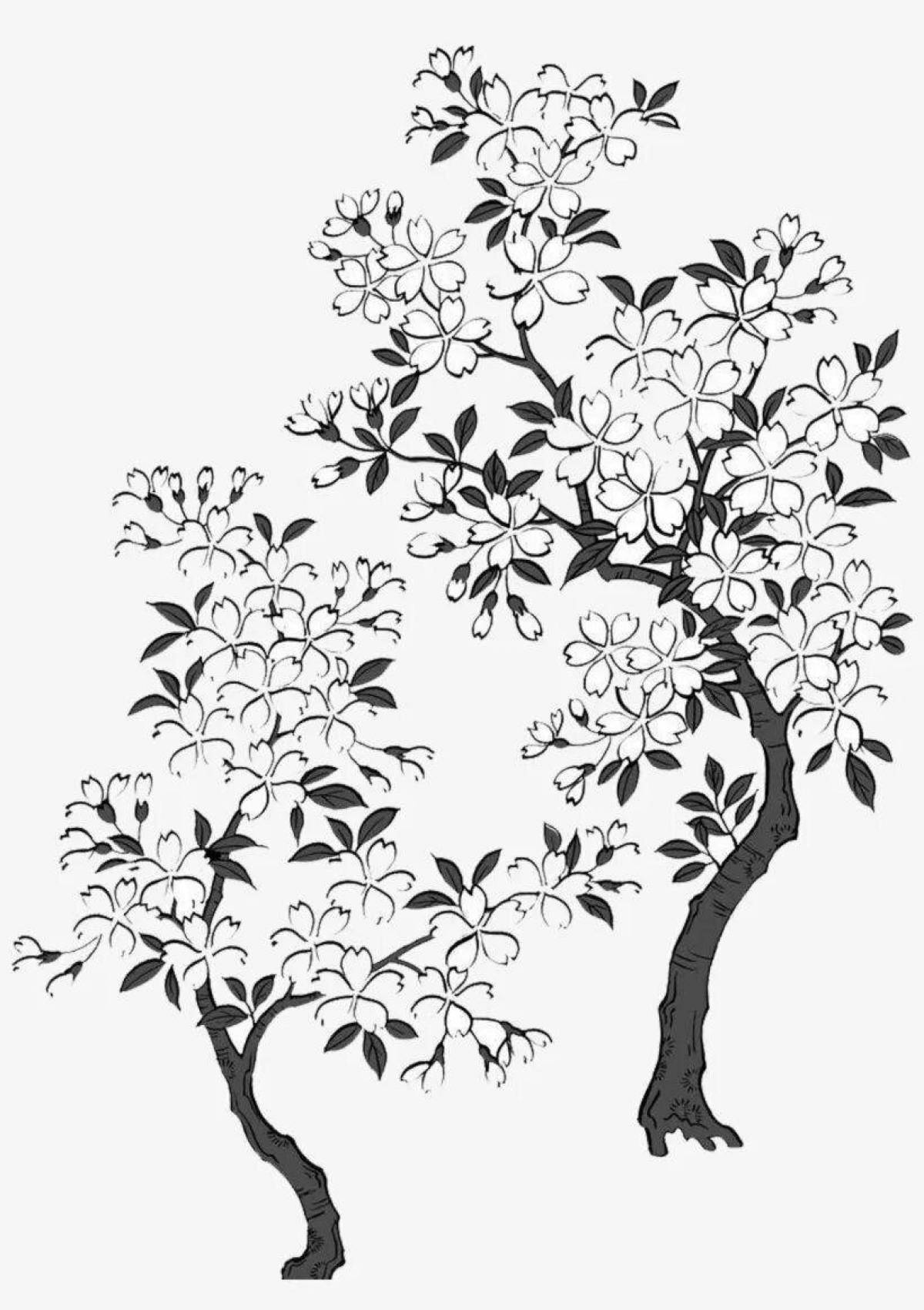 Раскраска сияющее японское дерево