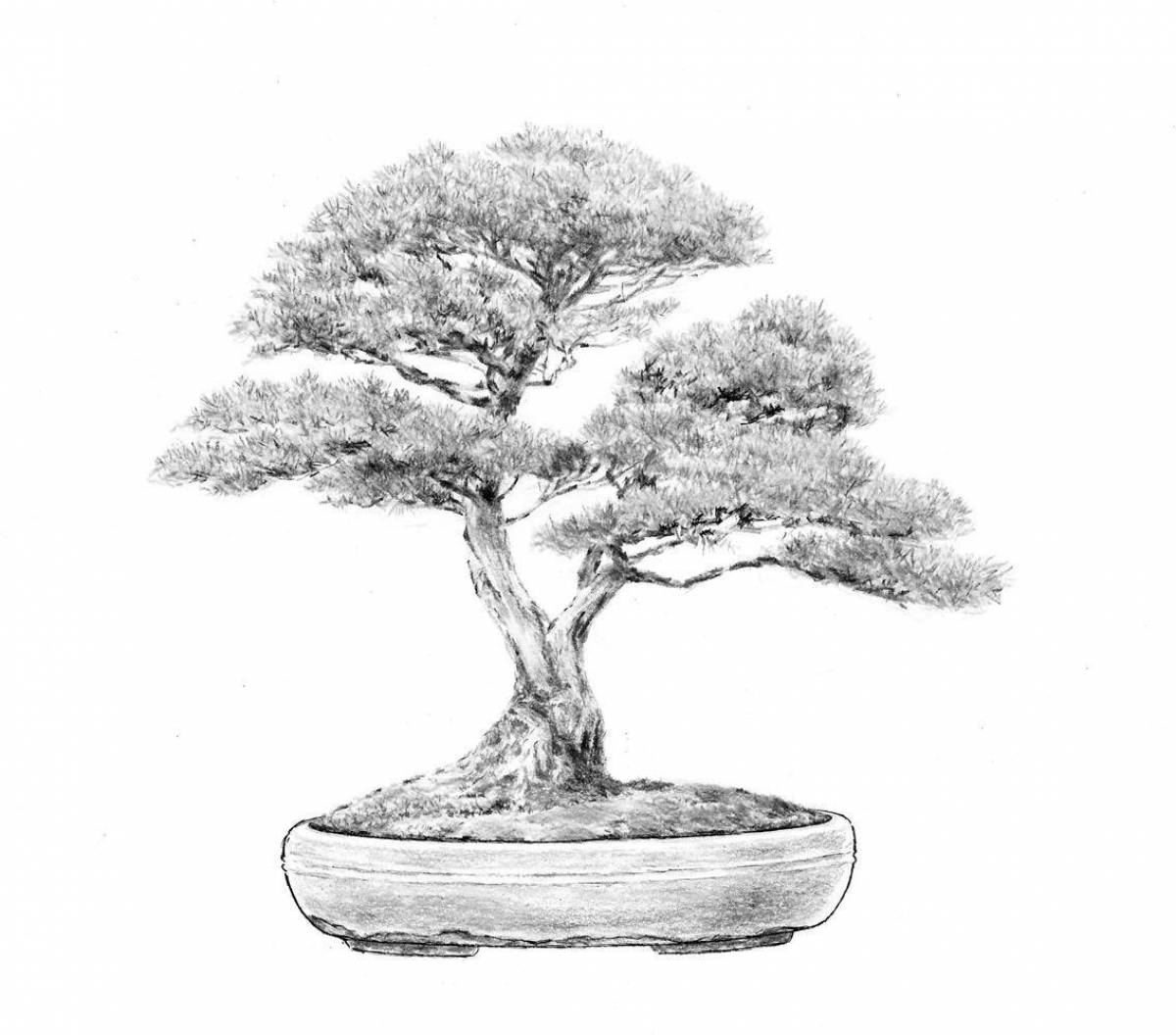 Coloring page graceful japanese tree