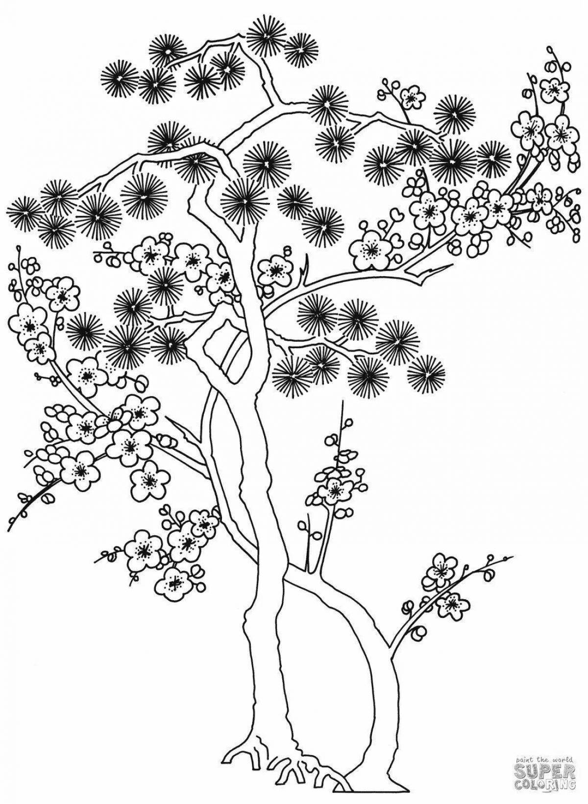 Раскраска цветущее японское дерево