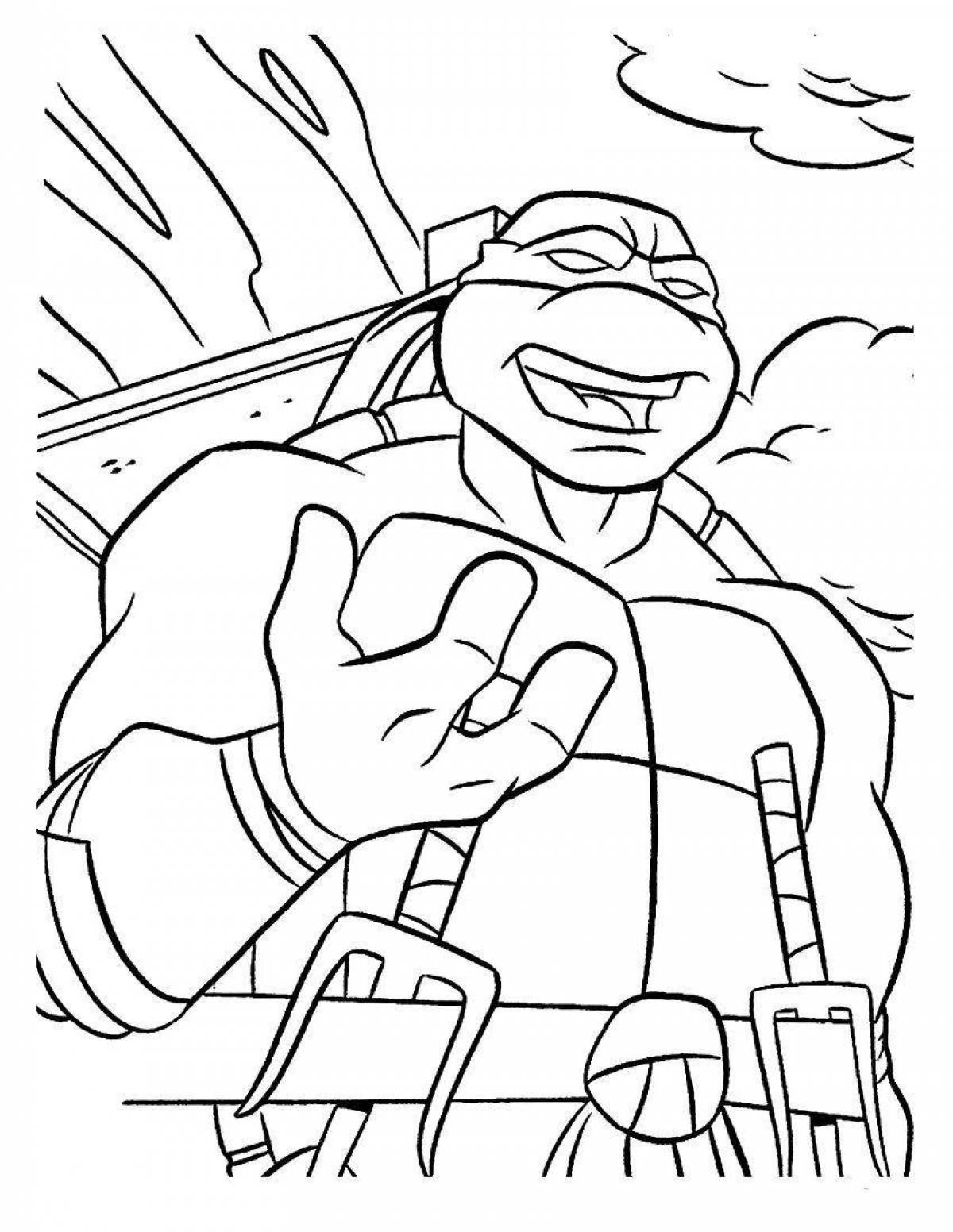 Coloring page nice tortoise raphael