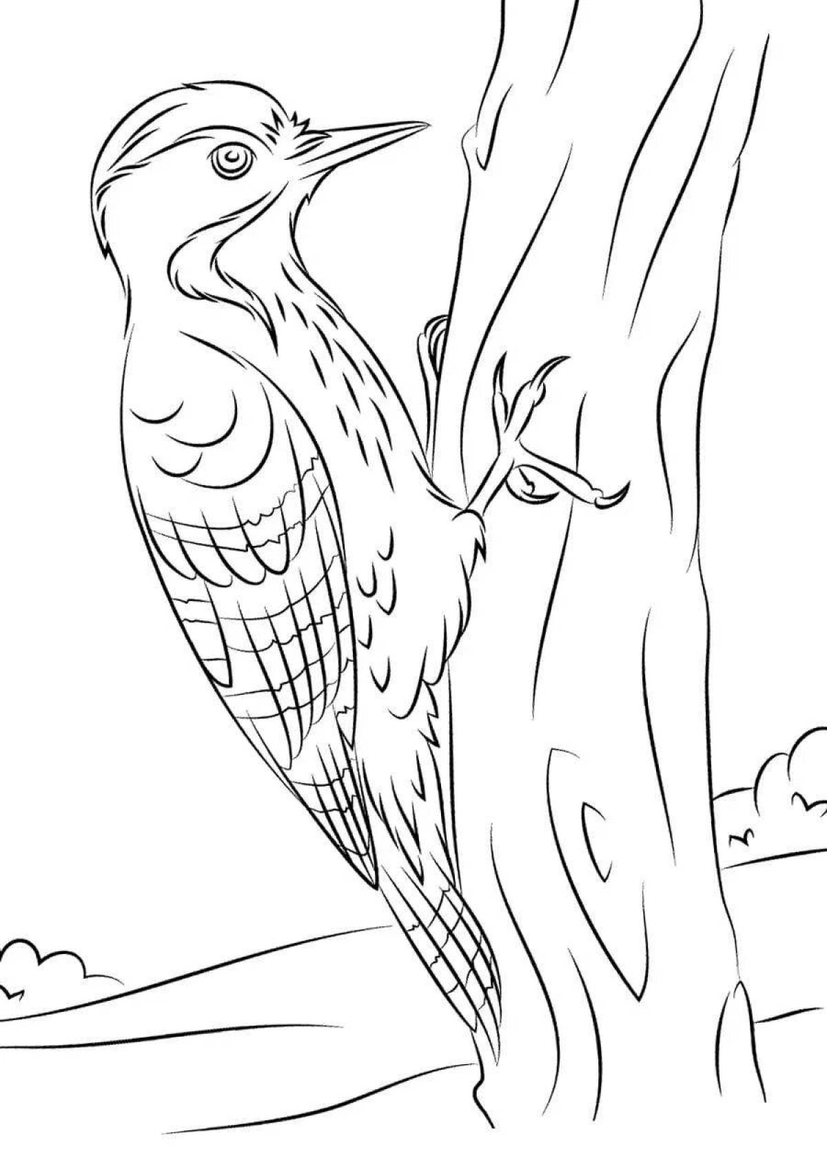 Vibrant woodpecker coloring page