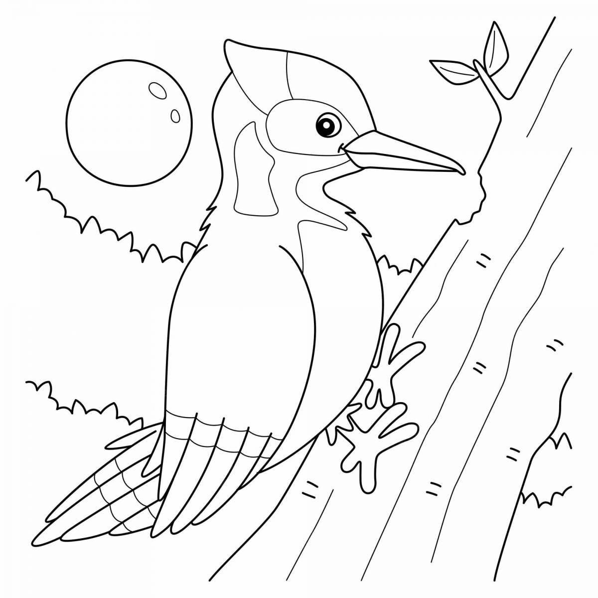 Coloring book charming woodpecker