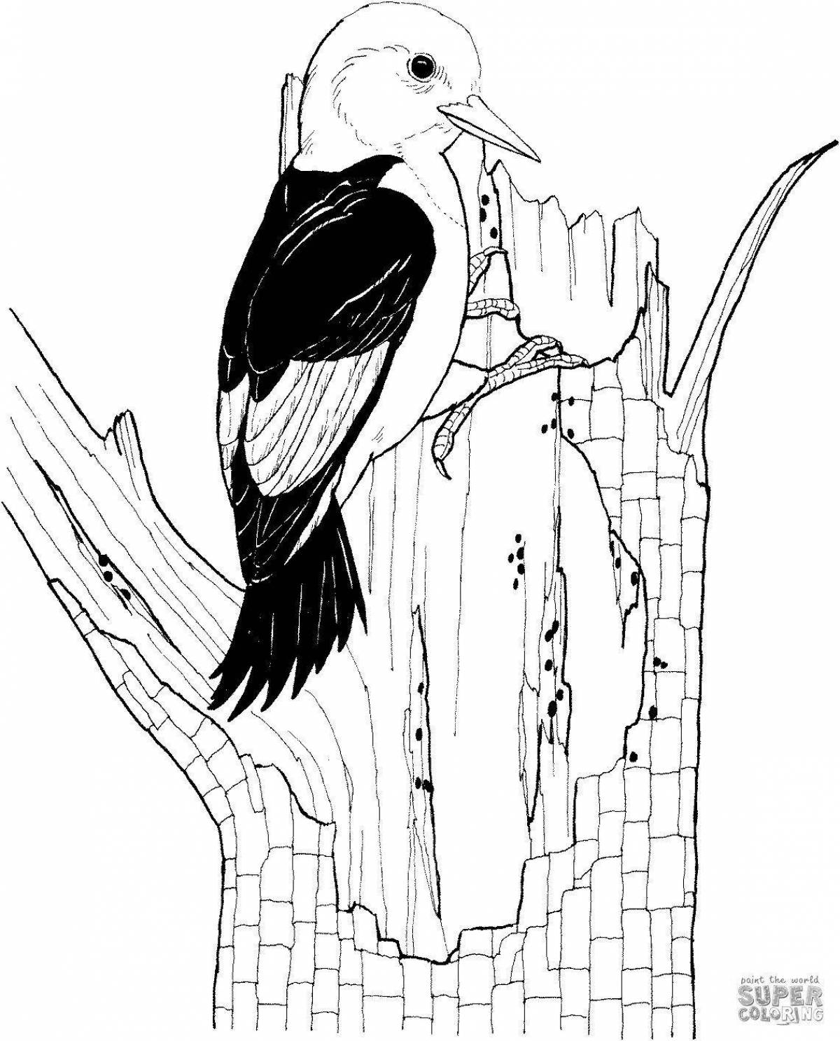 Adorable woodpecker coloring page