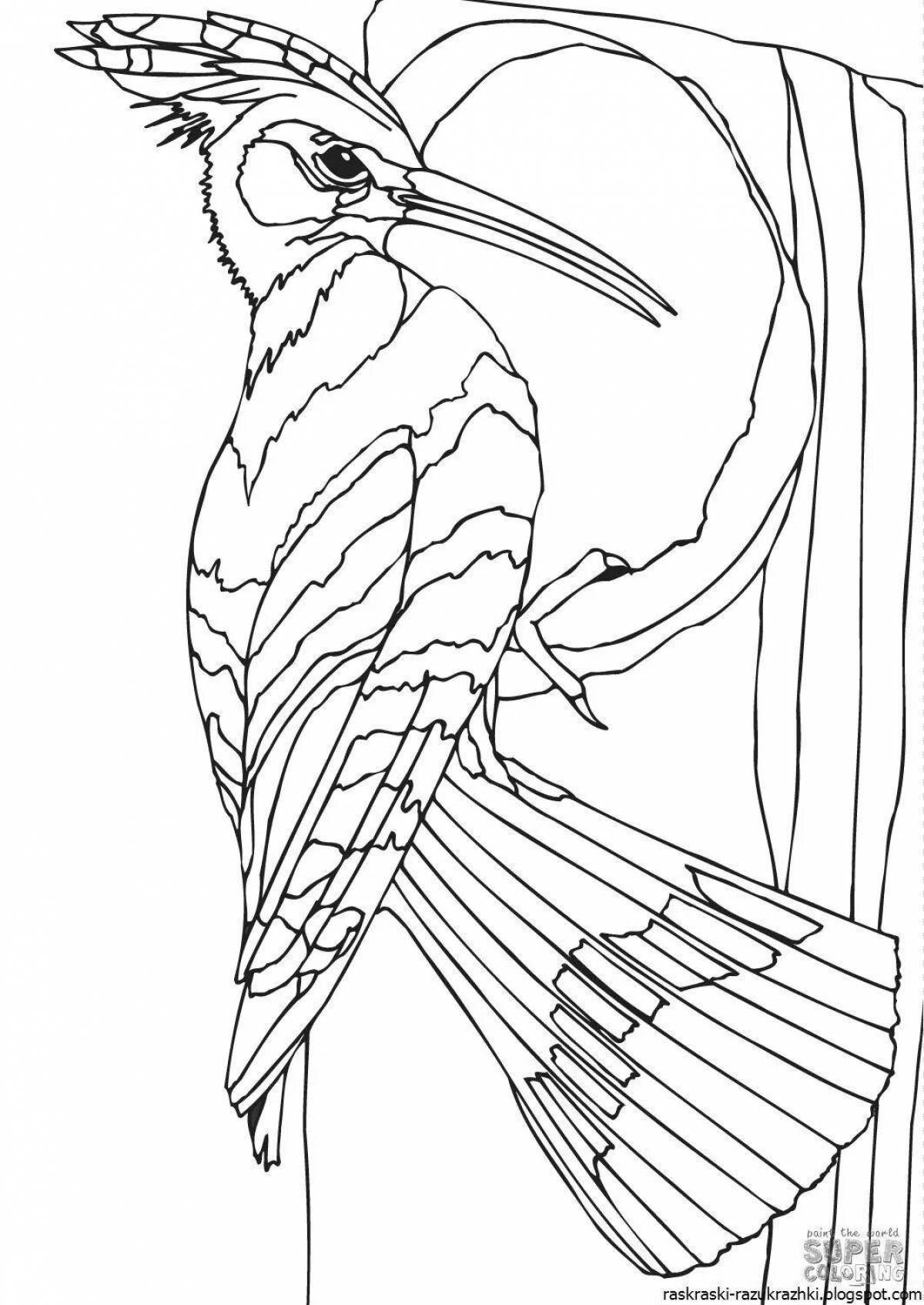 Animated woodpecker coloring page