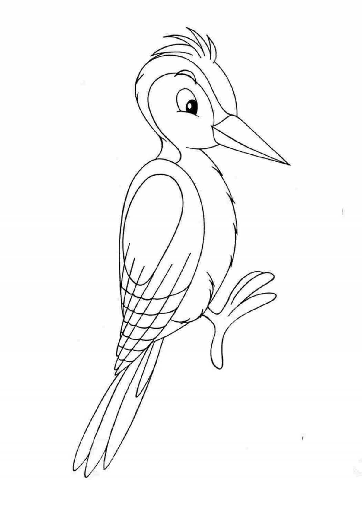 Coloring radiant woodpecker