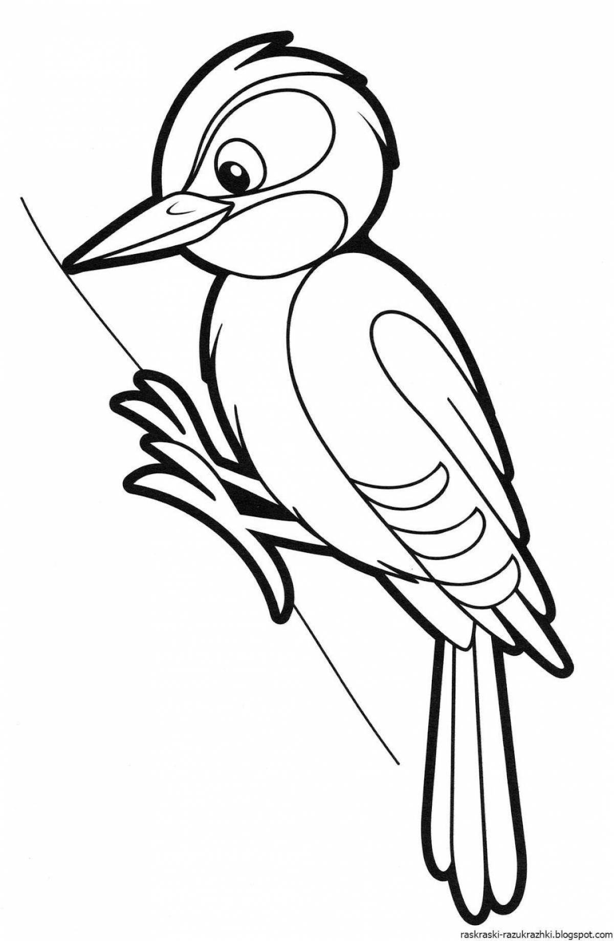 Coloring live woodpecker