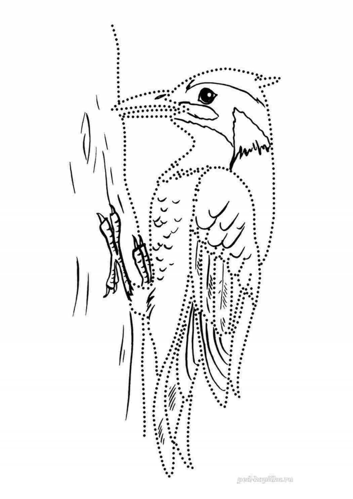 Coloring funny woodpecker