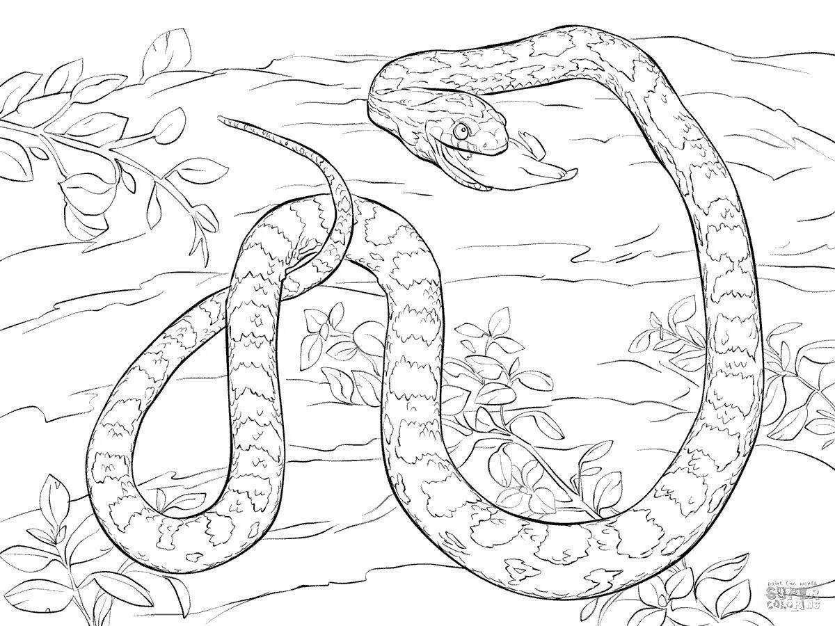 Shiny blue snake coloring page