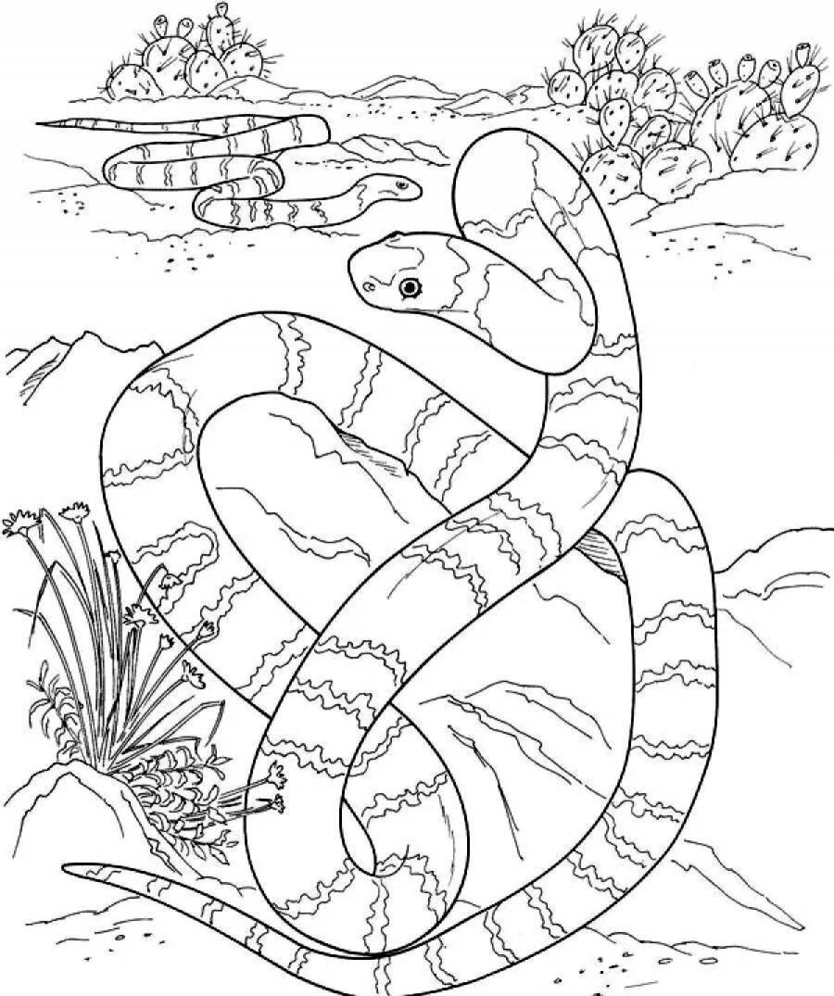 Coloring page elegant blue snake