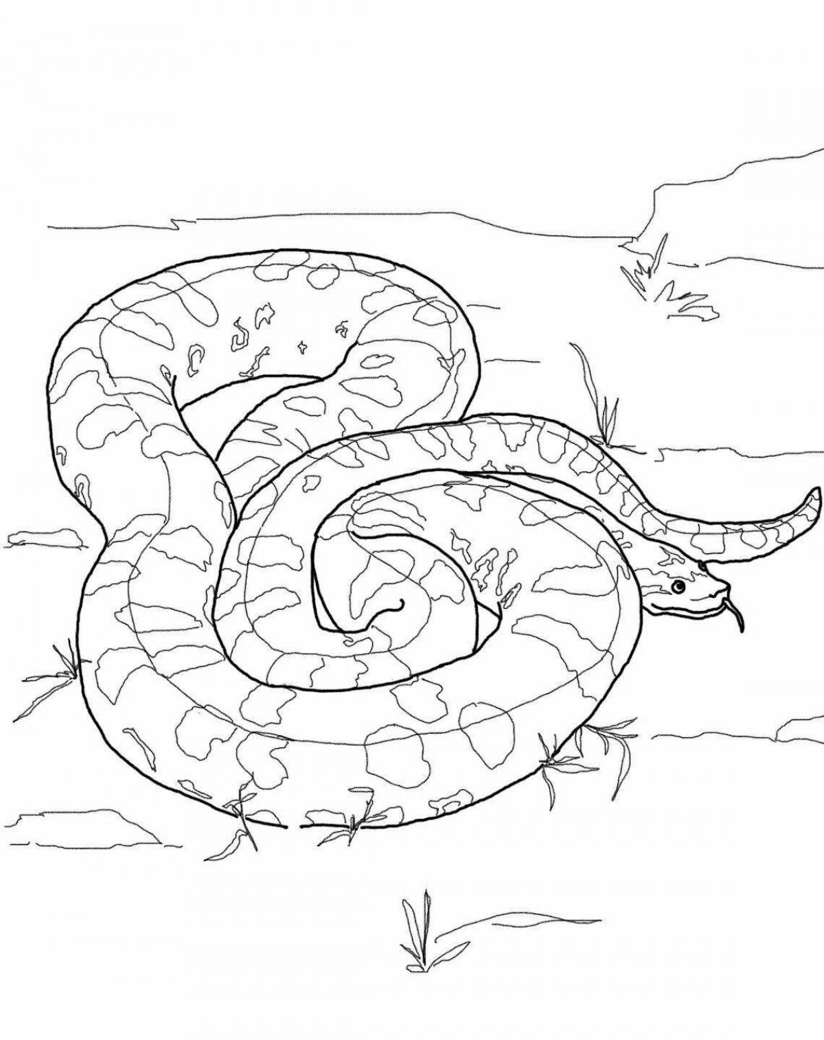 Exquisite blue snake coloring page
