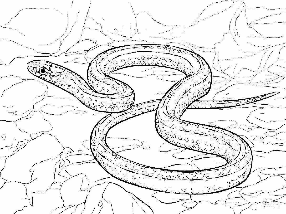 Decorated blue snake coloring page