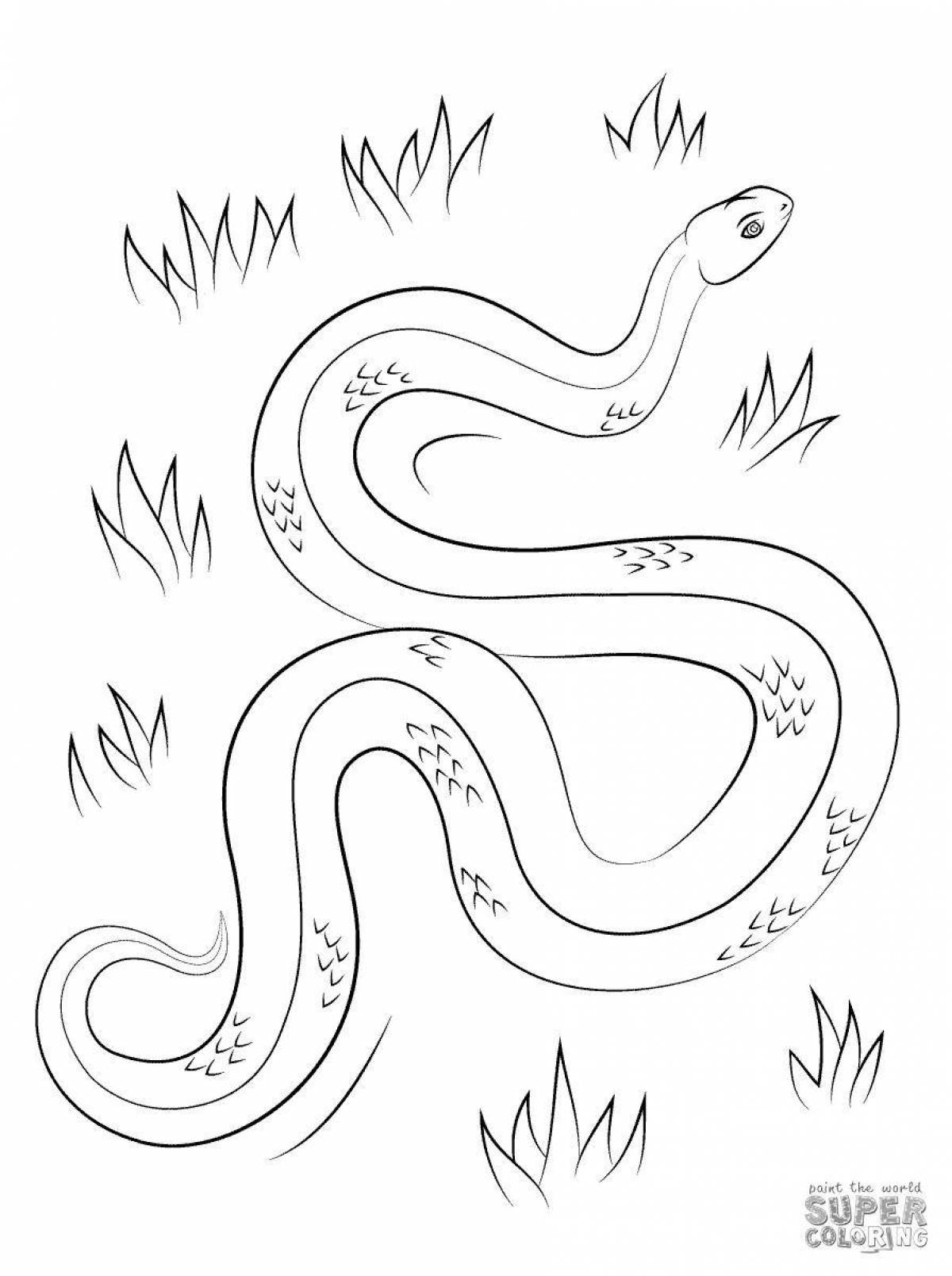 Colorful blue snake coloring book
