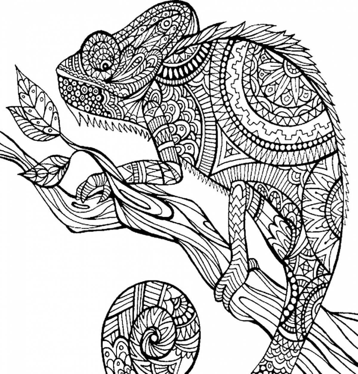 Exquisite anti-stress animal coloring book