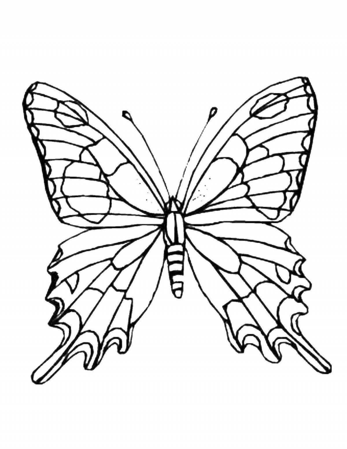 Bright butterfly coloring book