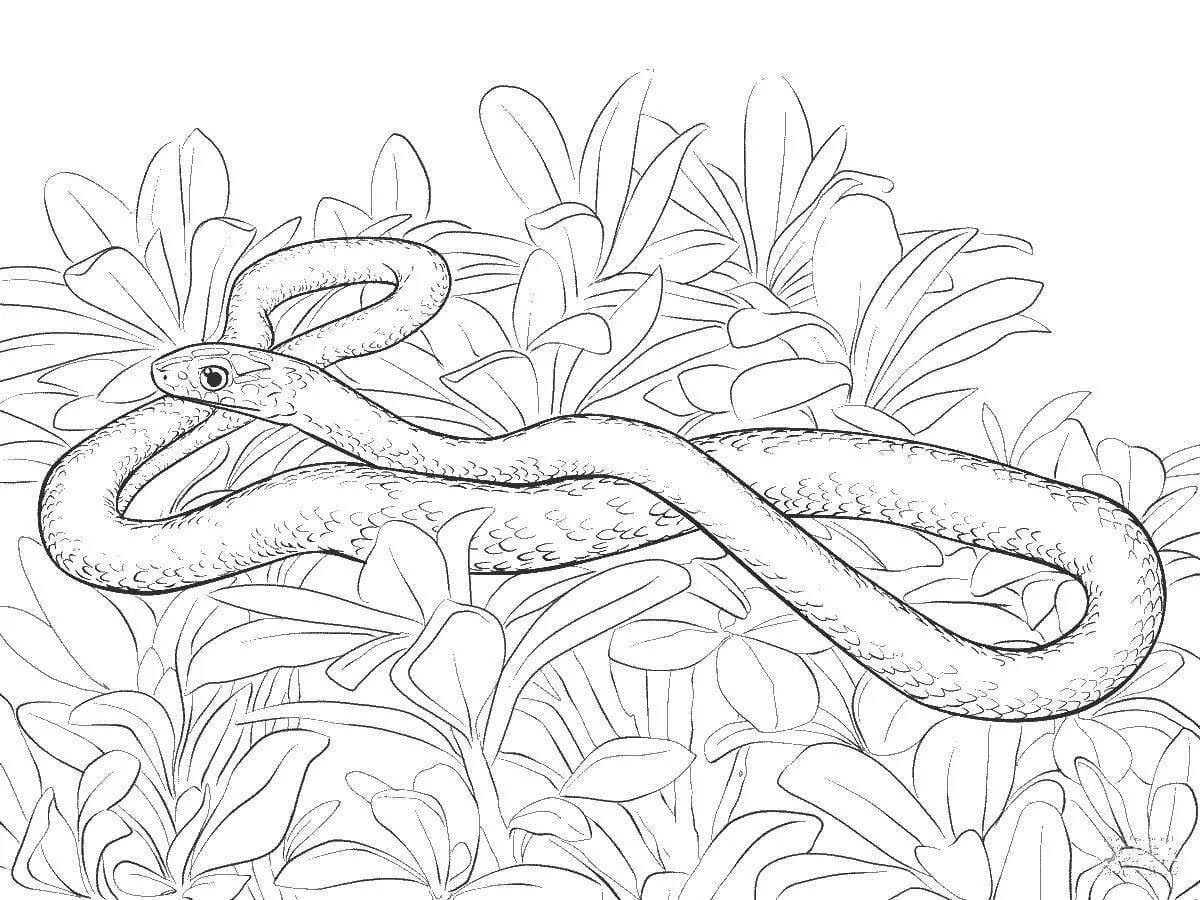 Страница рисования сложной змеи