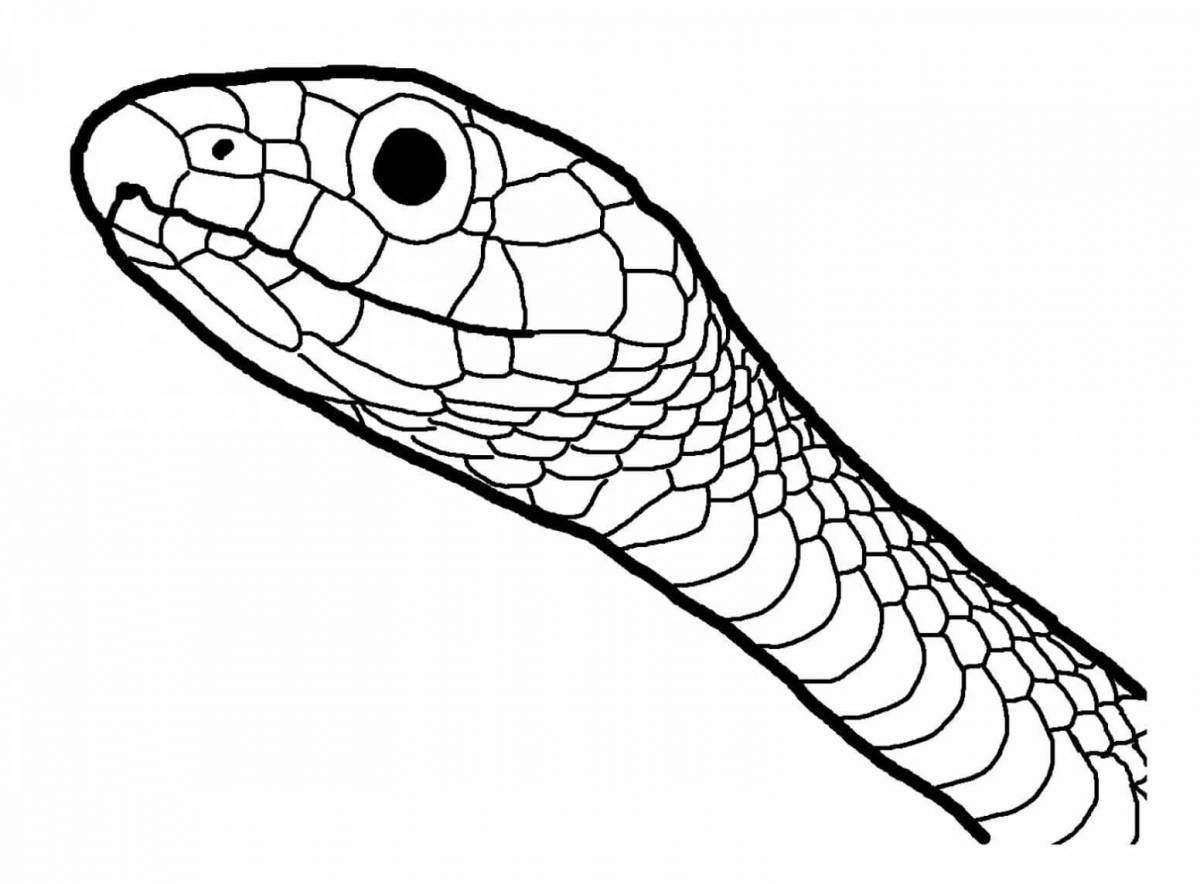 Яркая страница раскраски змей