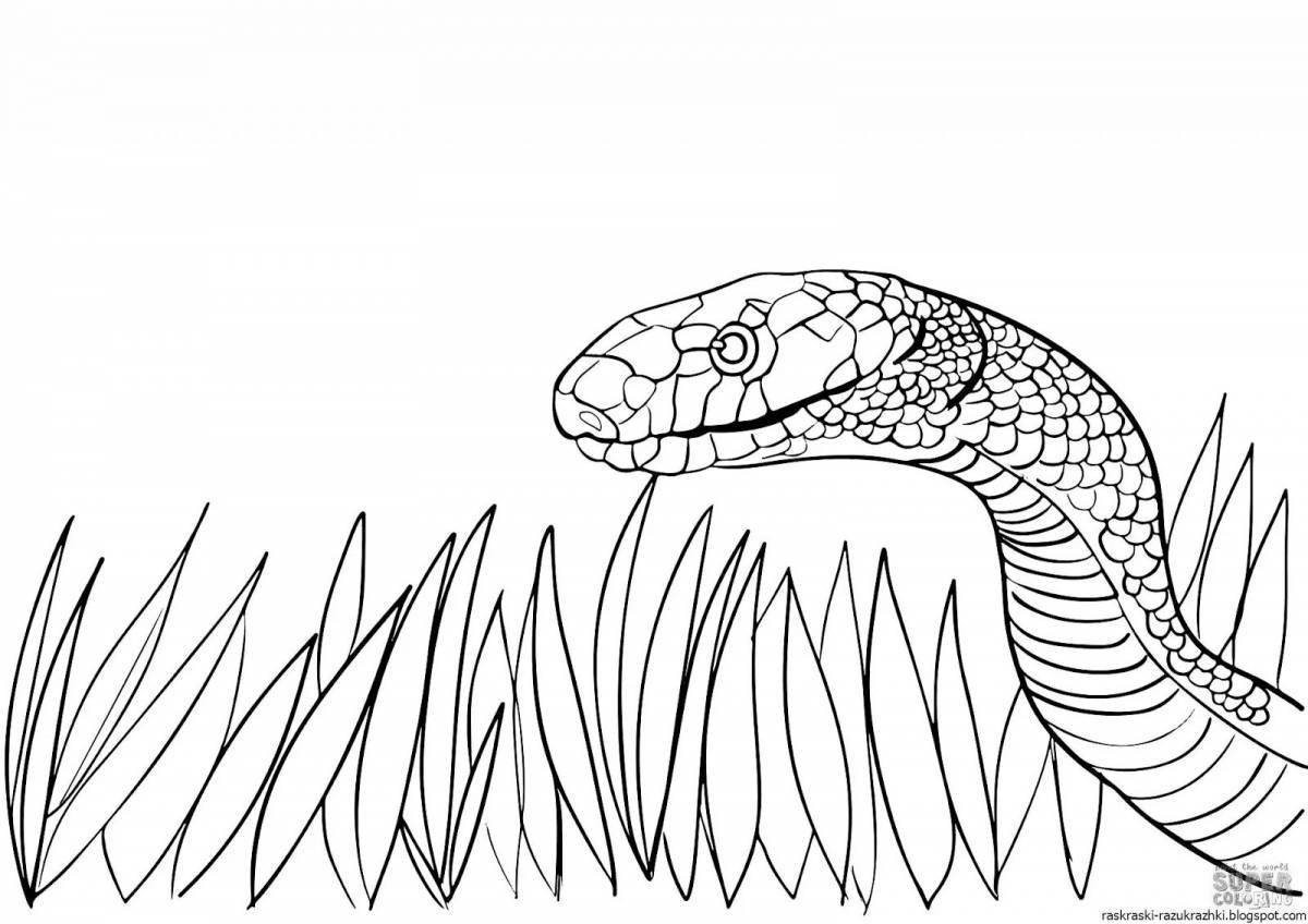 Snake drawing art page