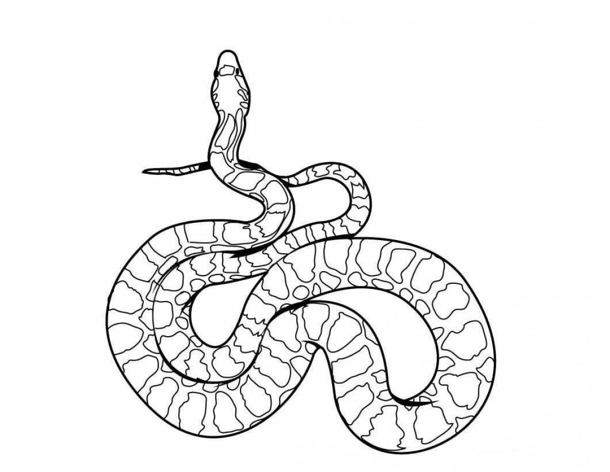 Awesome snake drawing page