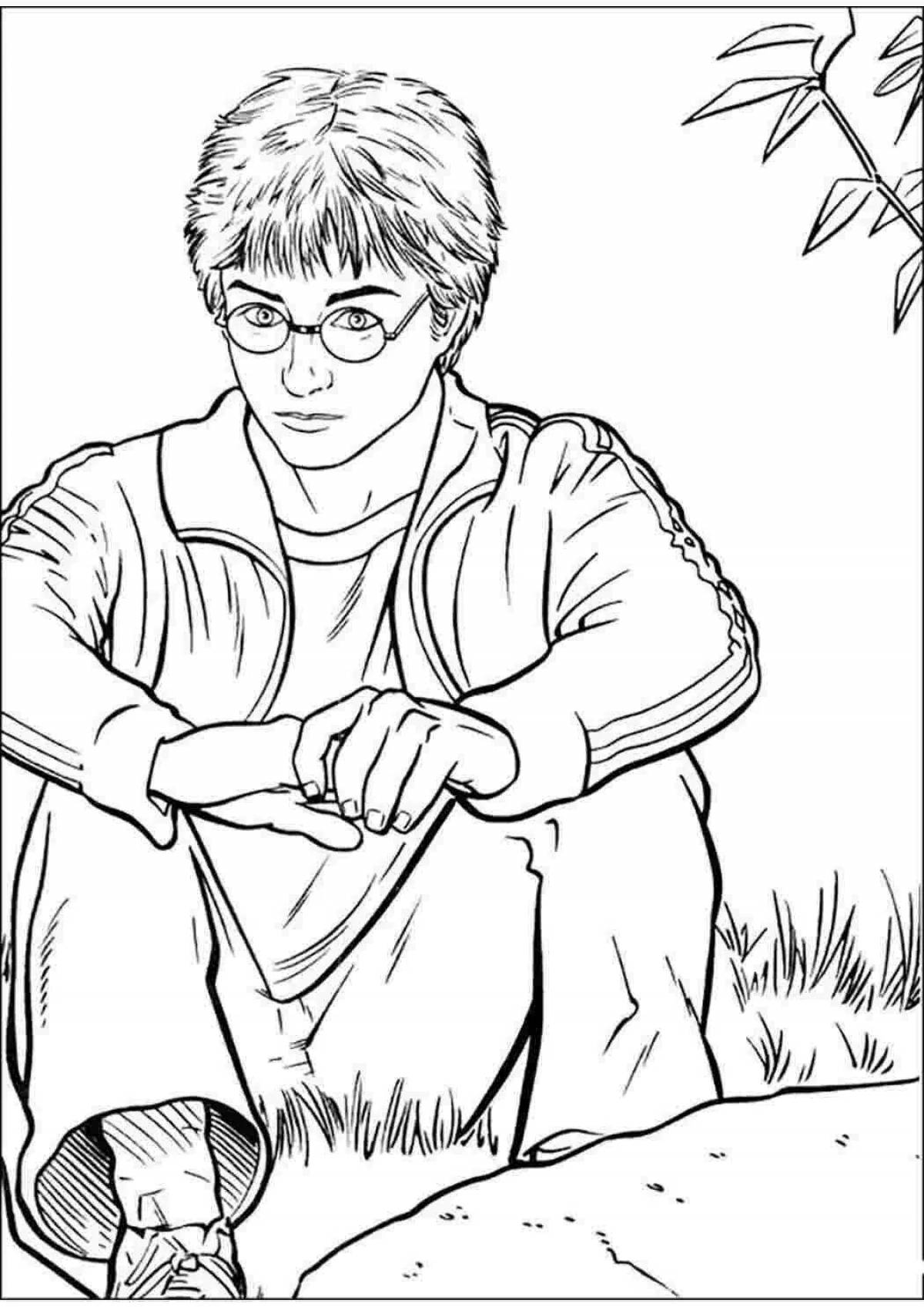 Fancy harry potter coloring book