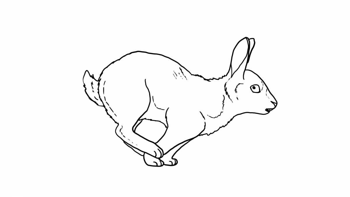 Colorful running hare coloring page