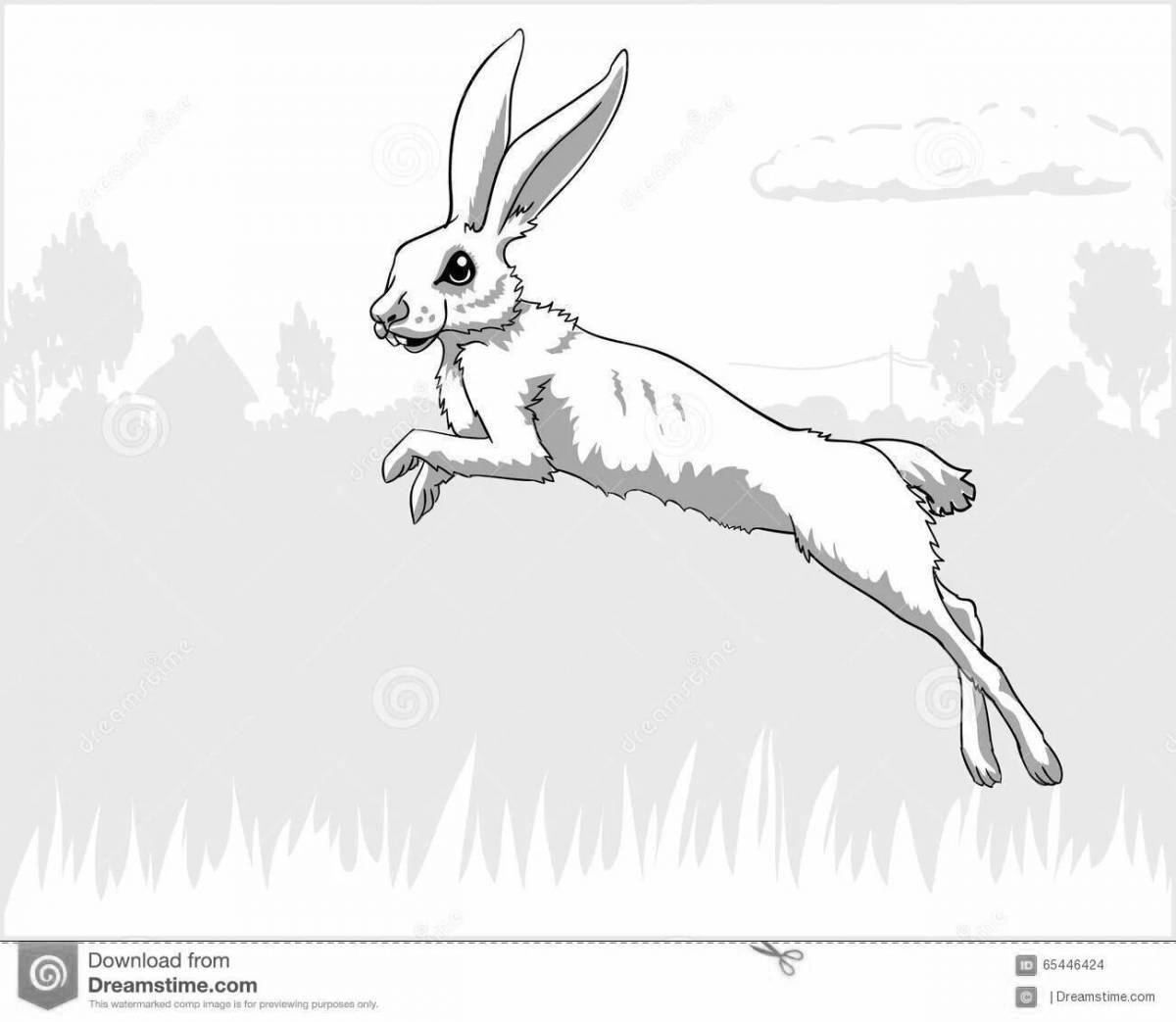 Анимированная раскраска «бегущий заяц»