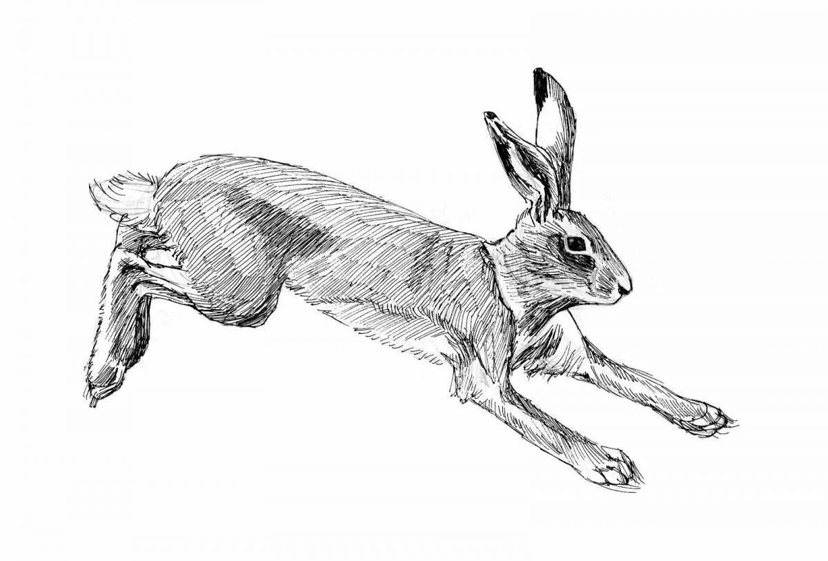 Coloring page magical running hare