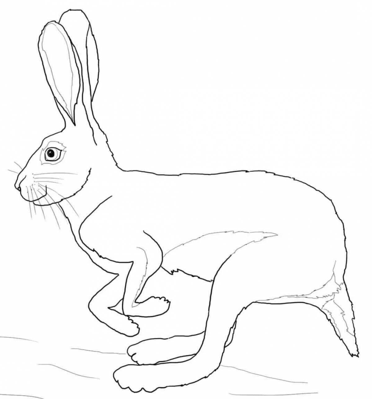 Coloring book bright running hare
