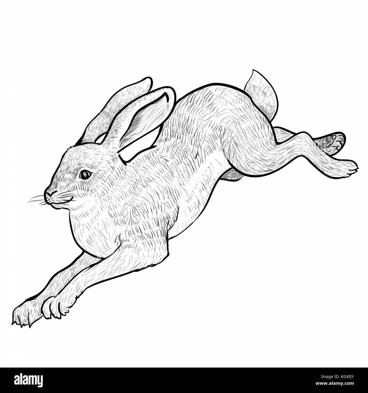 Exquisite running hare coloring page