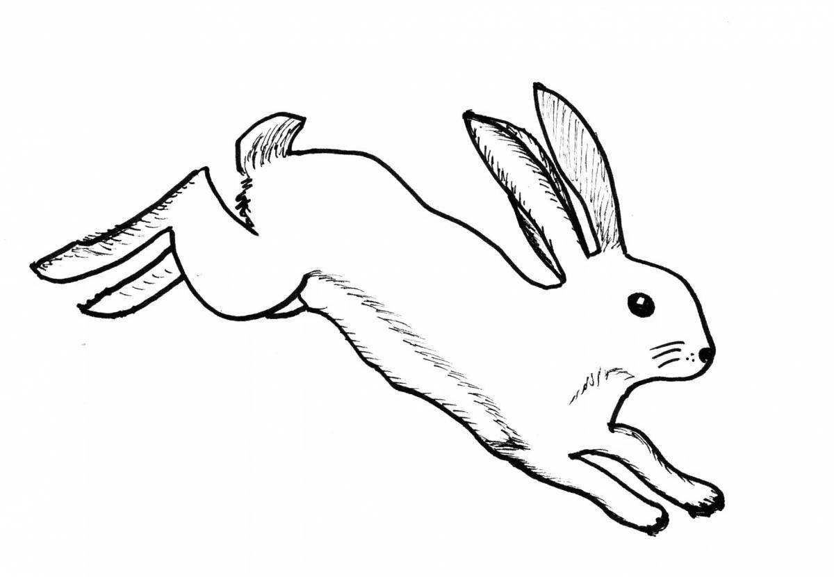 Раскраска элегантный бегущий заяц