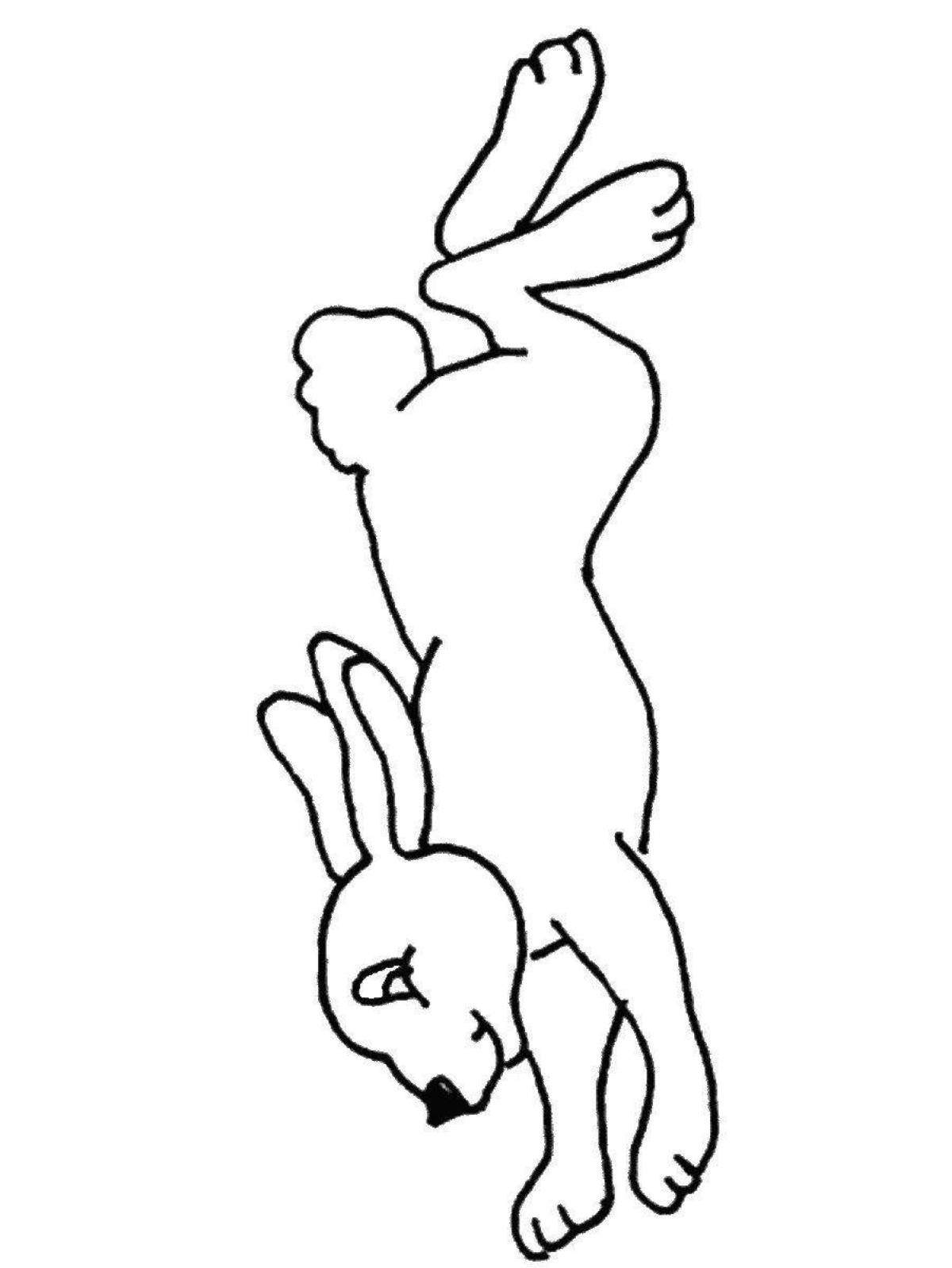 Coloring page graceful running hare