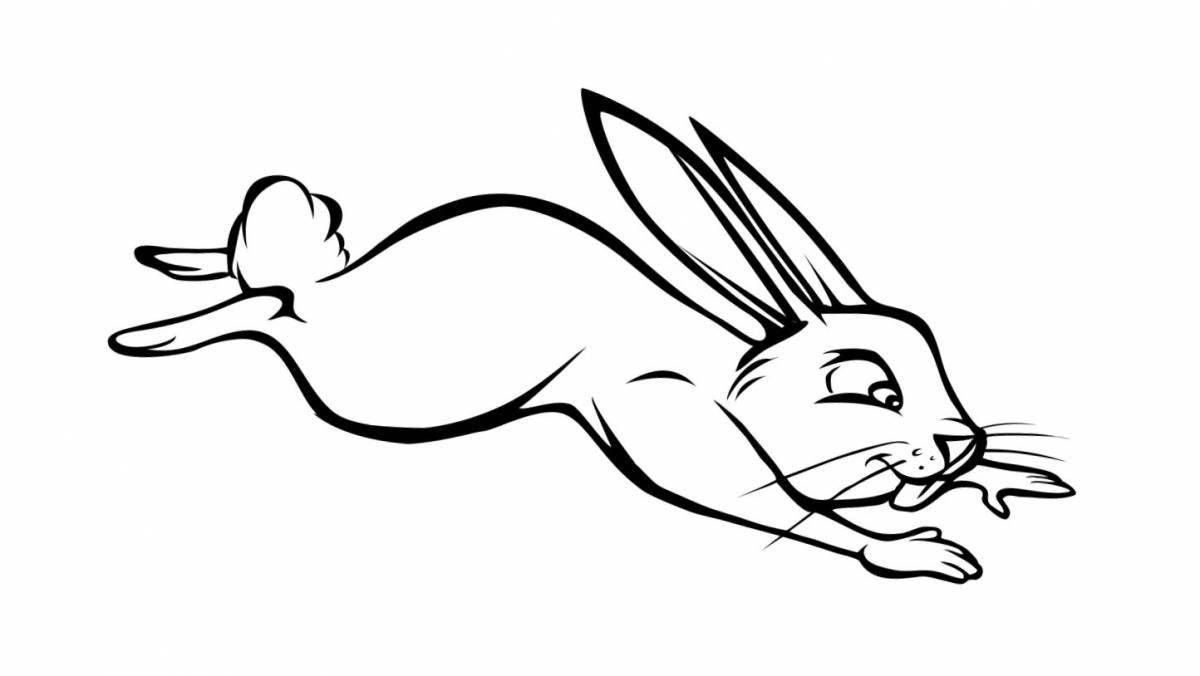 Running hare coloring page