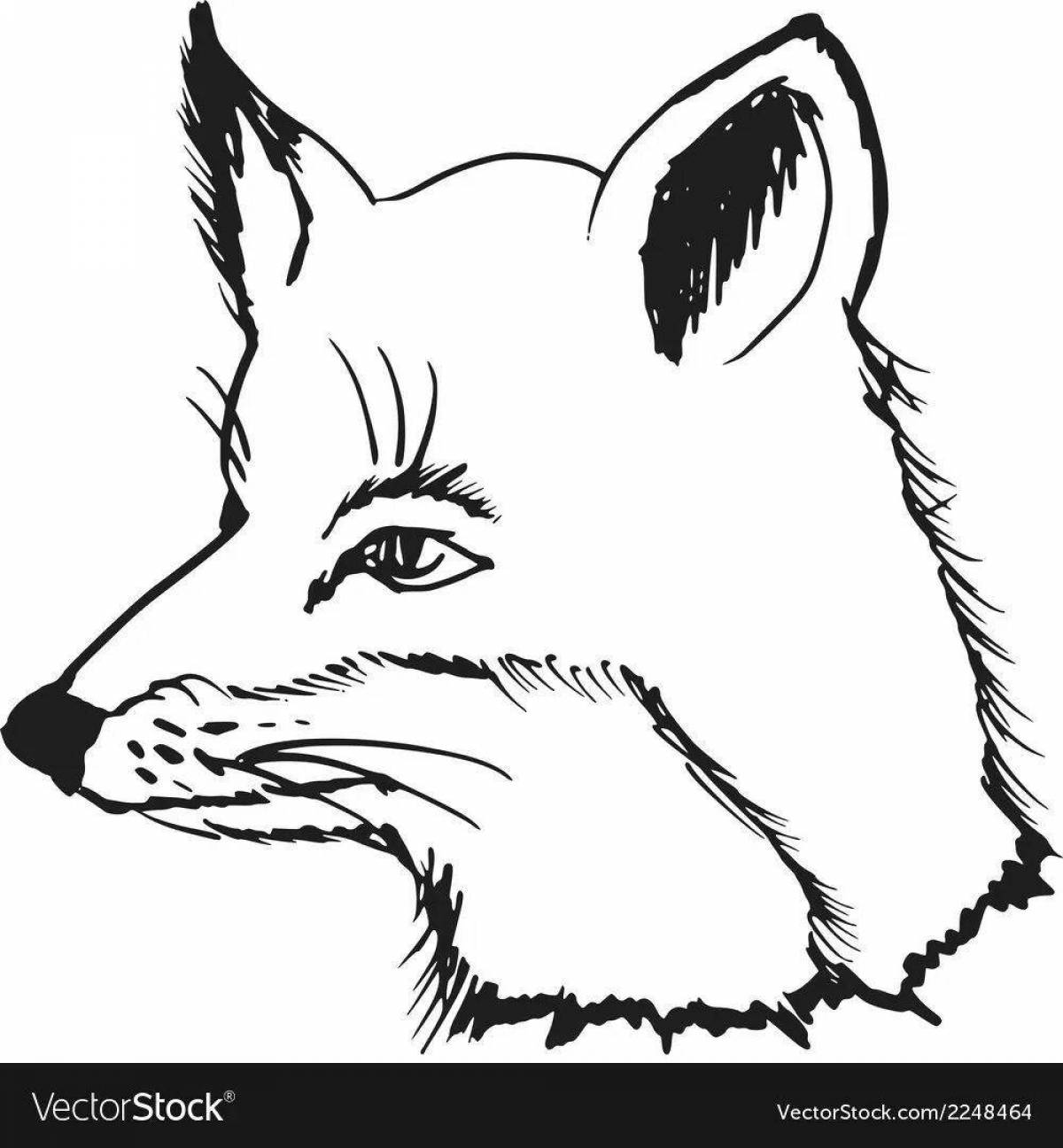 Coloring fox muzzle bright