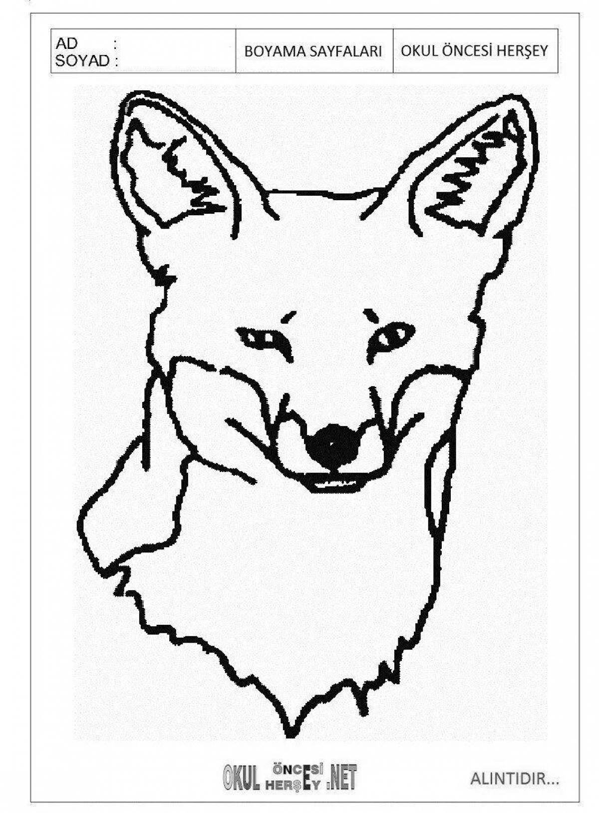 Colouring happy face of the fox