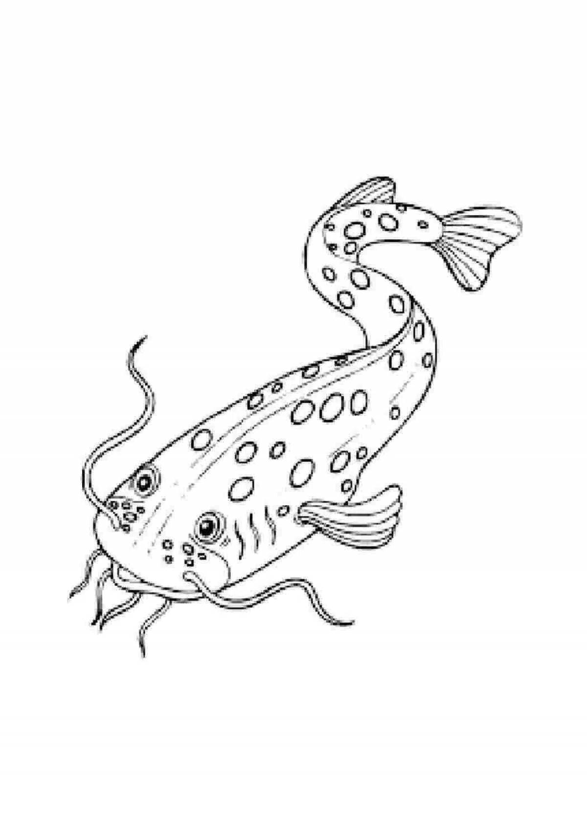 Photo Colorful catfish coloring page