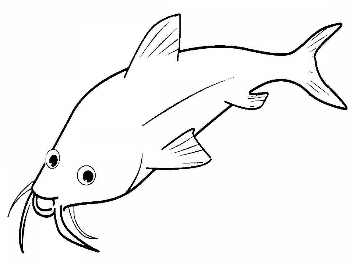 Coloring book playful catfish