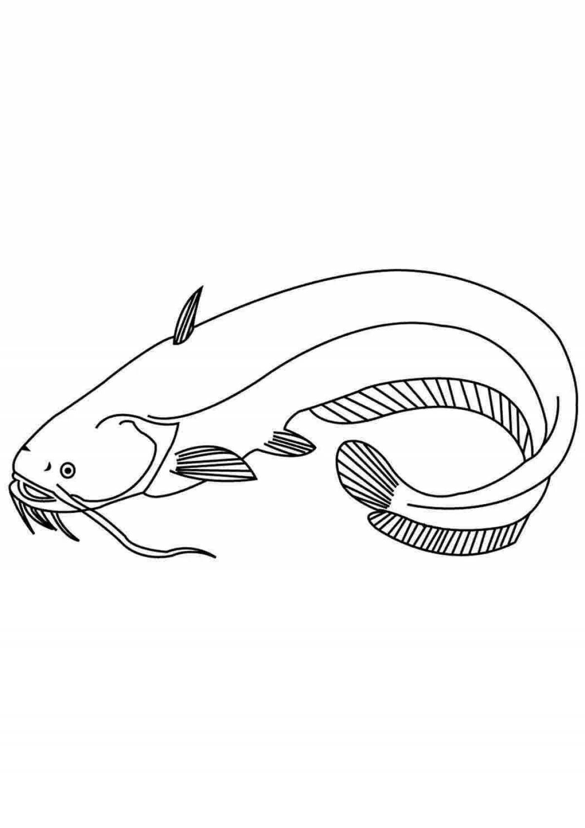 Coloring page adorable catfish