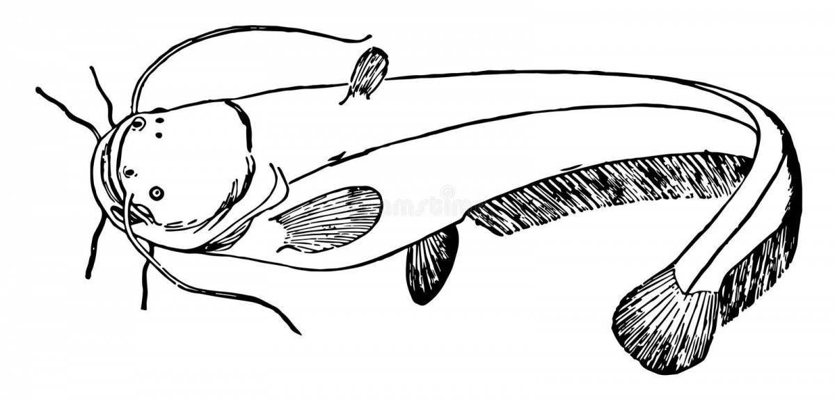 Coloring page dazzling catfish