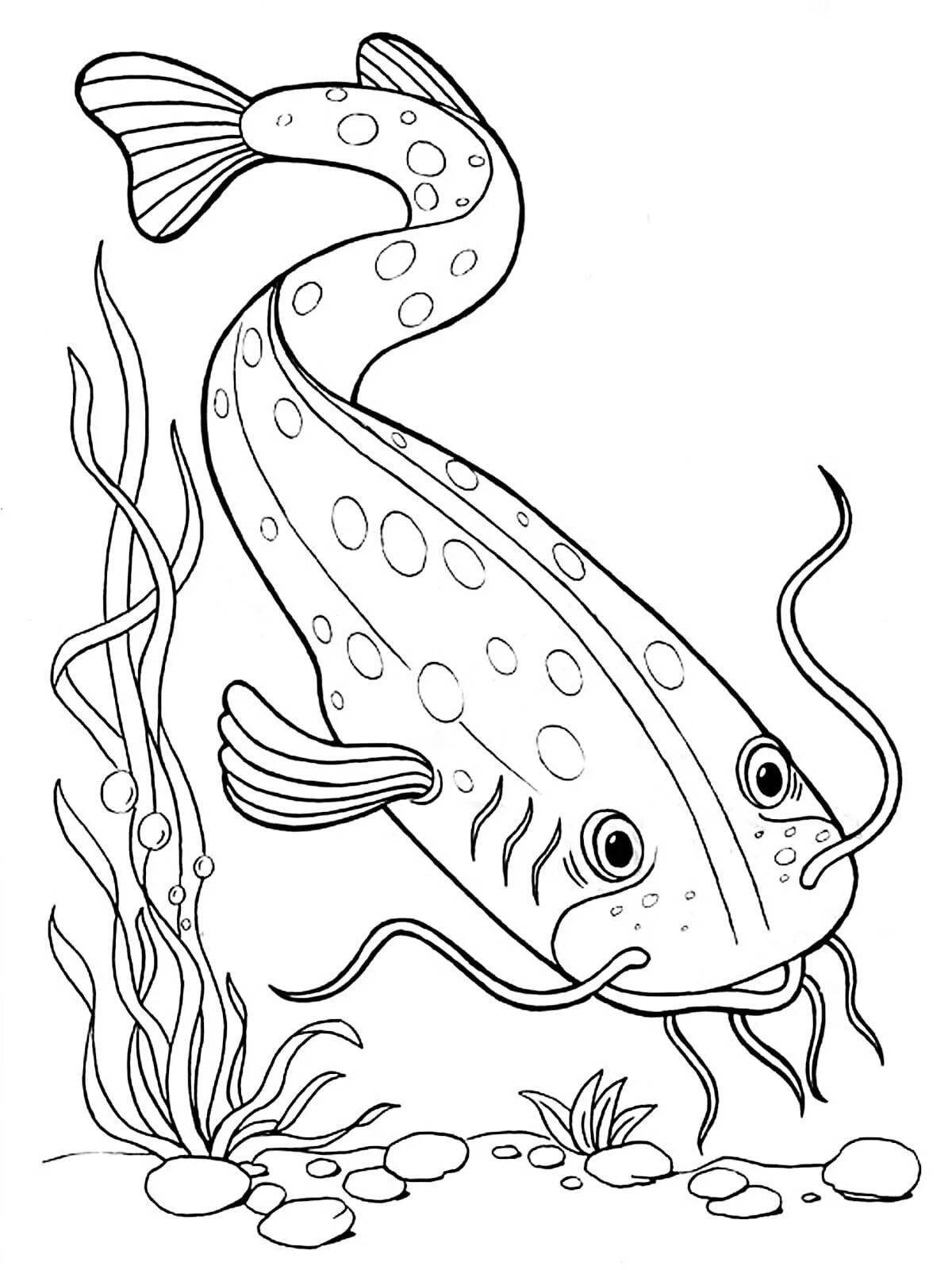 Animated catfish coloring page