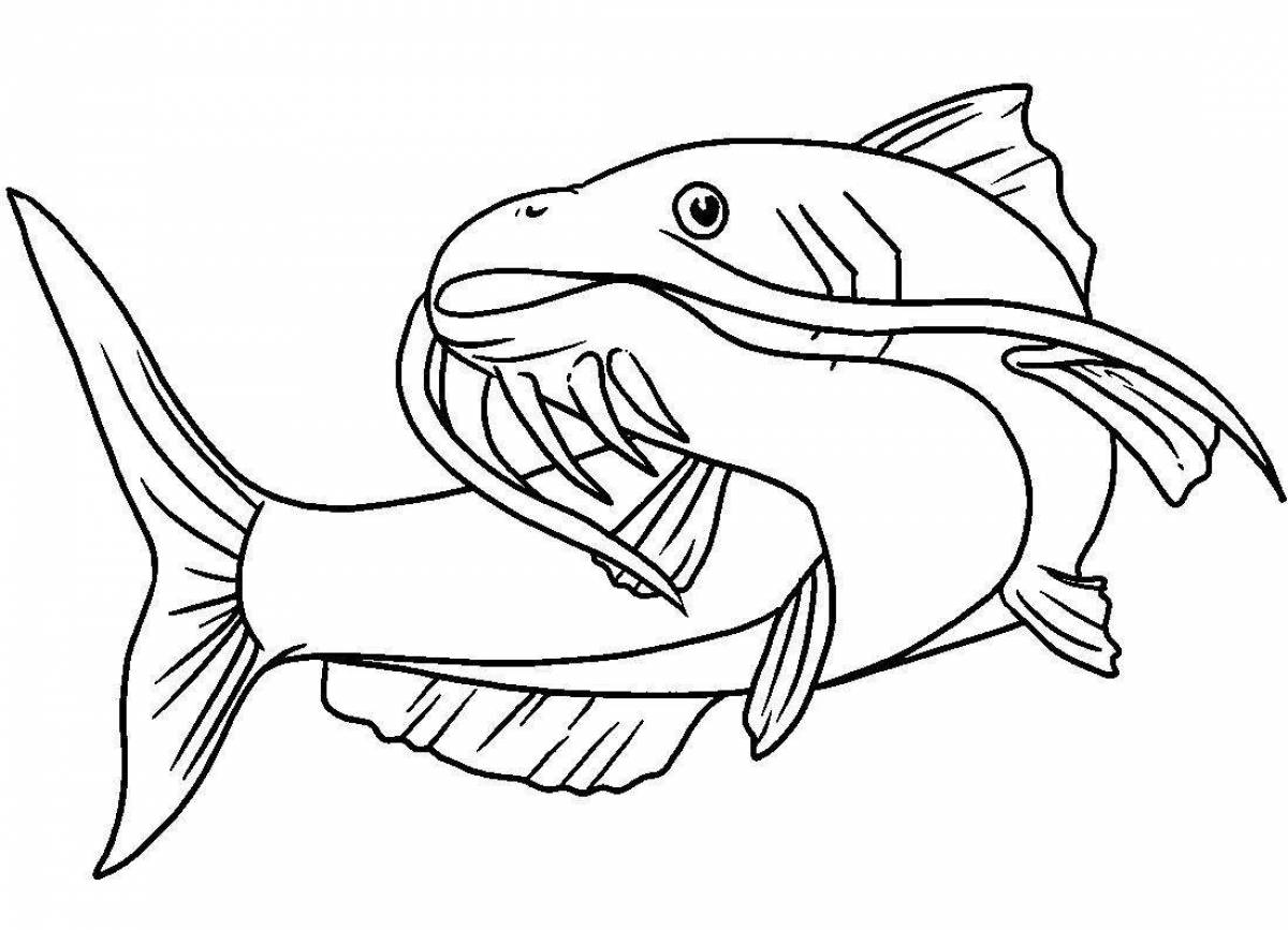 Coloring book shining catfish