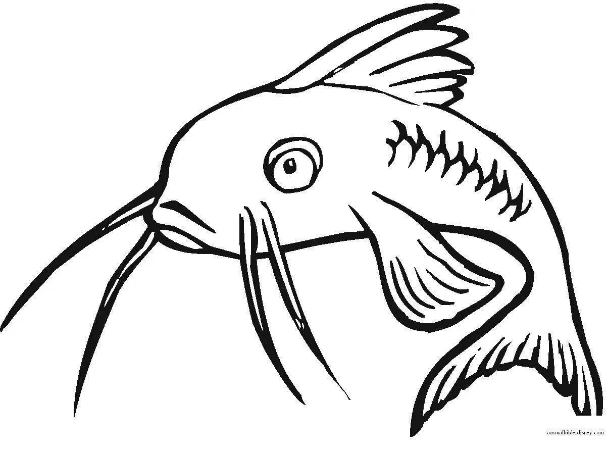 Colorful catfish coloring page